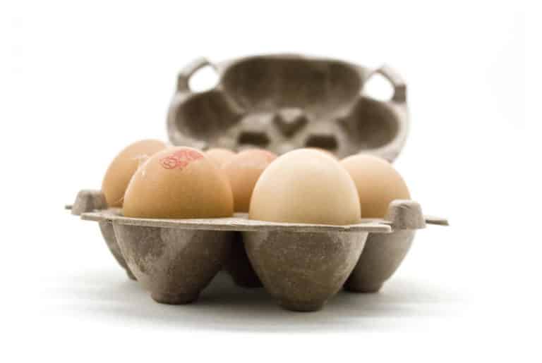 Sustainable egg boxes made from potato starch