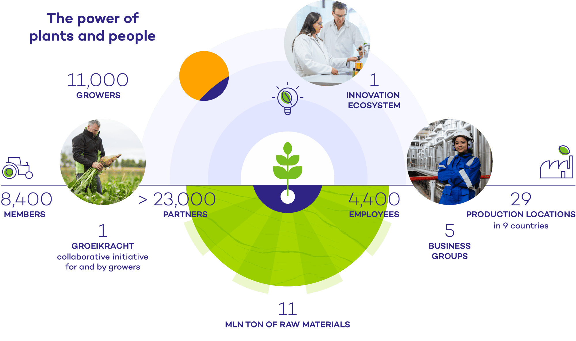 Cosun: the plant-based cooperative