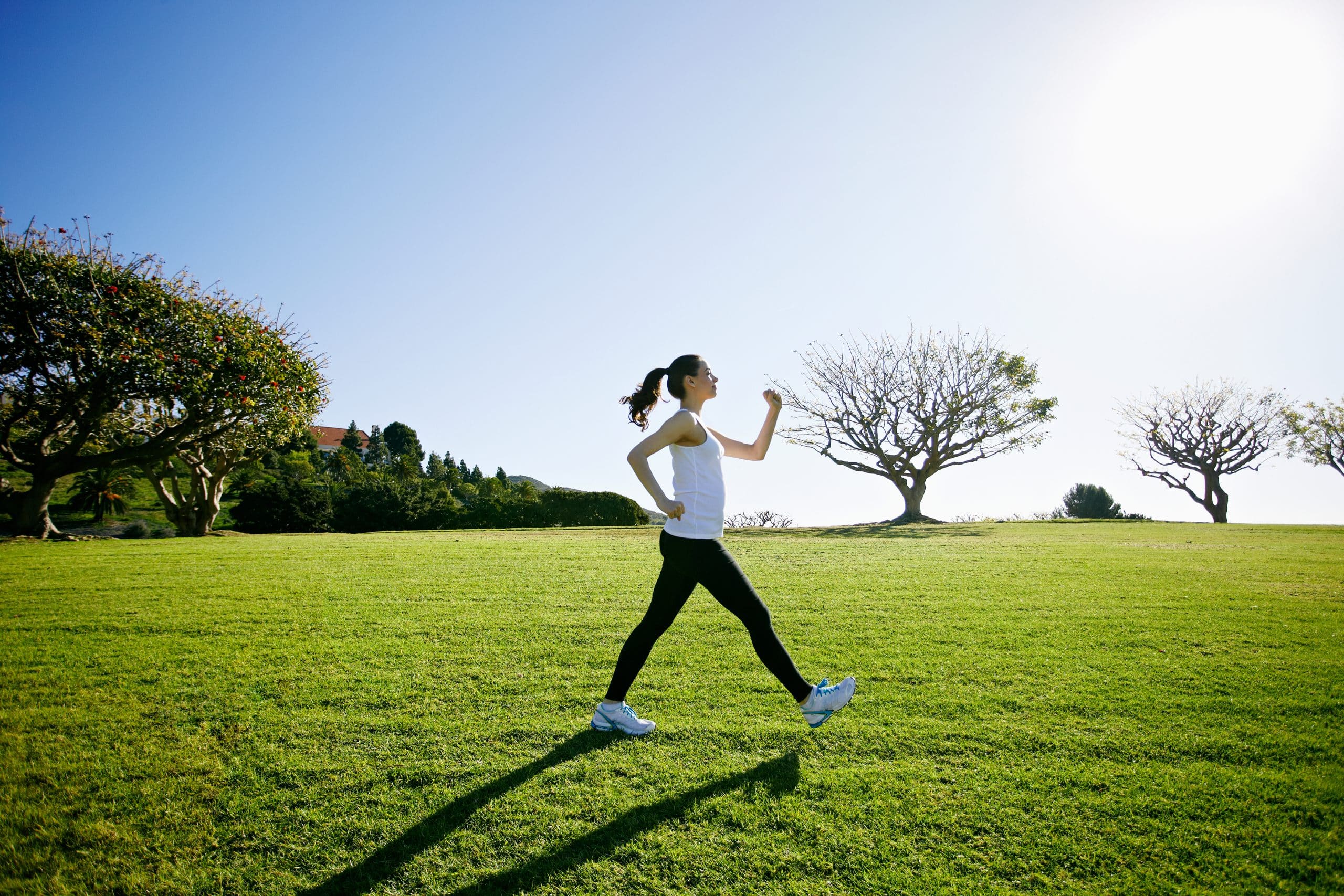 Plantaardige voeding voor sporters