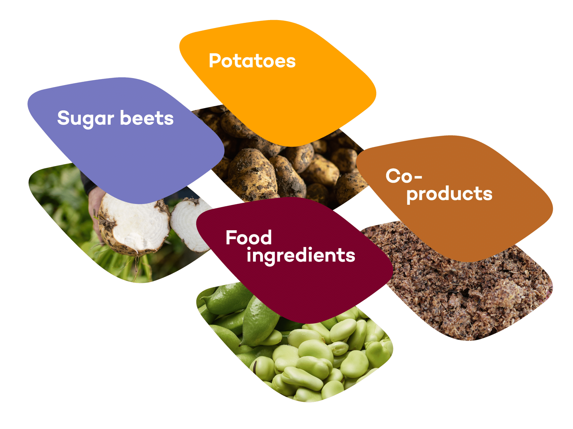 Four key areas